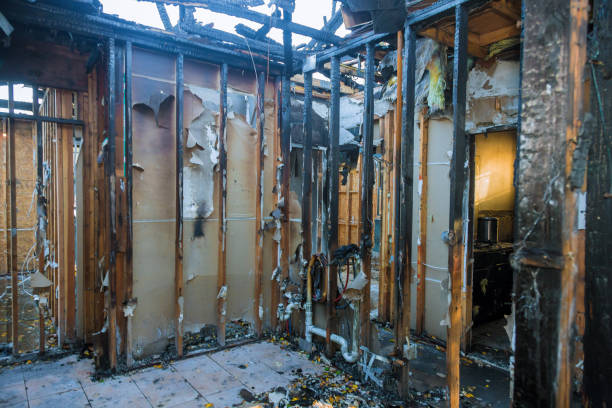 Professional Emergency Fire Cleanup technician working in El Valle de Arroyo Seco, NM